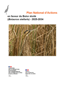 Projet de plan national d’actions (PNA) Butor étoilé 2025-2034 – DREAL Pays de la Loire, LPO