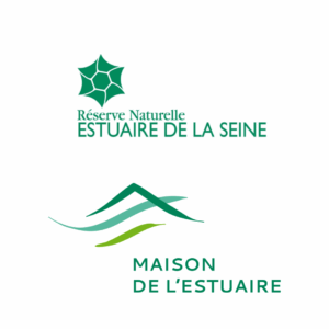 Logo Maison Estuaire