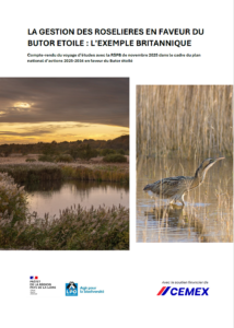 La gestion des roselières en faveur du Butor étoile : l&rsquo;exemple britannique