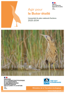 L&rsquo;essentiel du PNA Butor étoilé 2025-2034